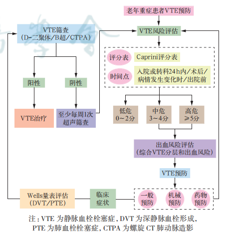 《老年重癥患者靜脈血栓栓塞癥預(yù)防中國專家共識（2023）》內(nèi)容節(jié)選 ---老年重癥患者的 VTE 預(yù)防方法及預(yù)防流程